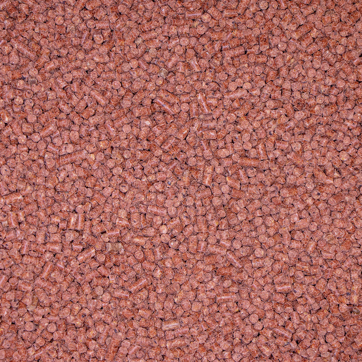 PROTEINMAXX PELLETS