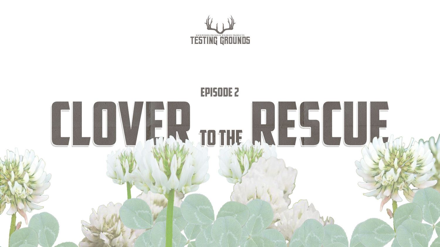 S2EP2: Clover To The Rescue