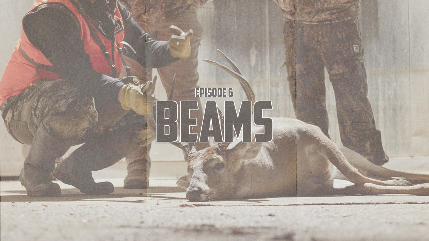 S2E6: Beams