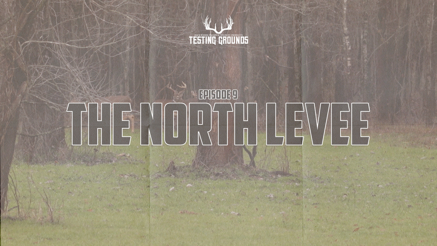 S2E9: The North Levee