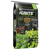 IGNITE