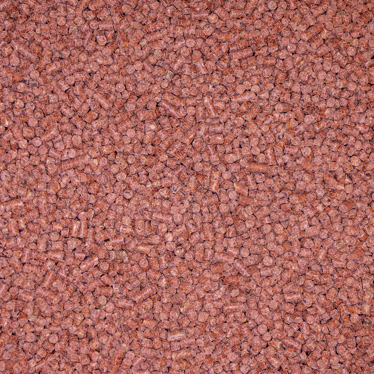 PROTEINMAXX™ PELLETS