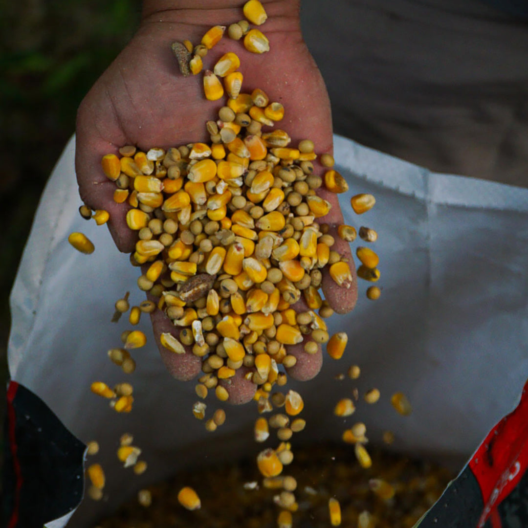 FLAMEKISSED ALL ROAST